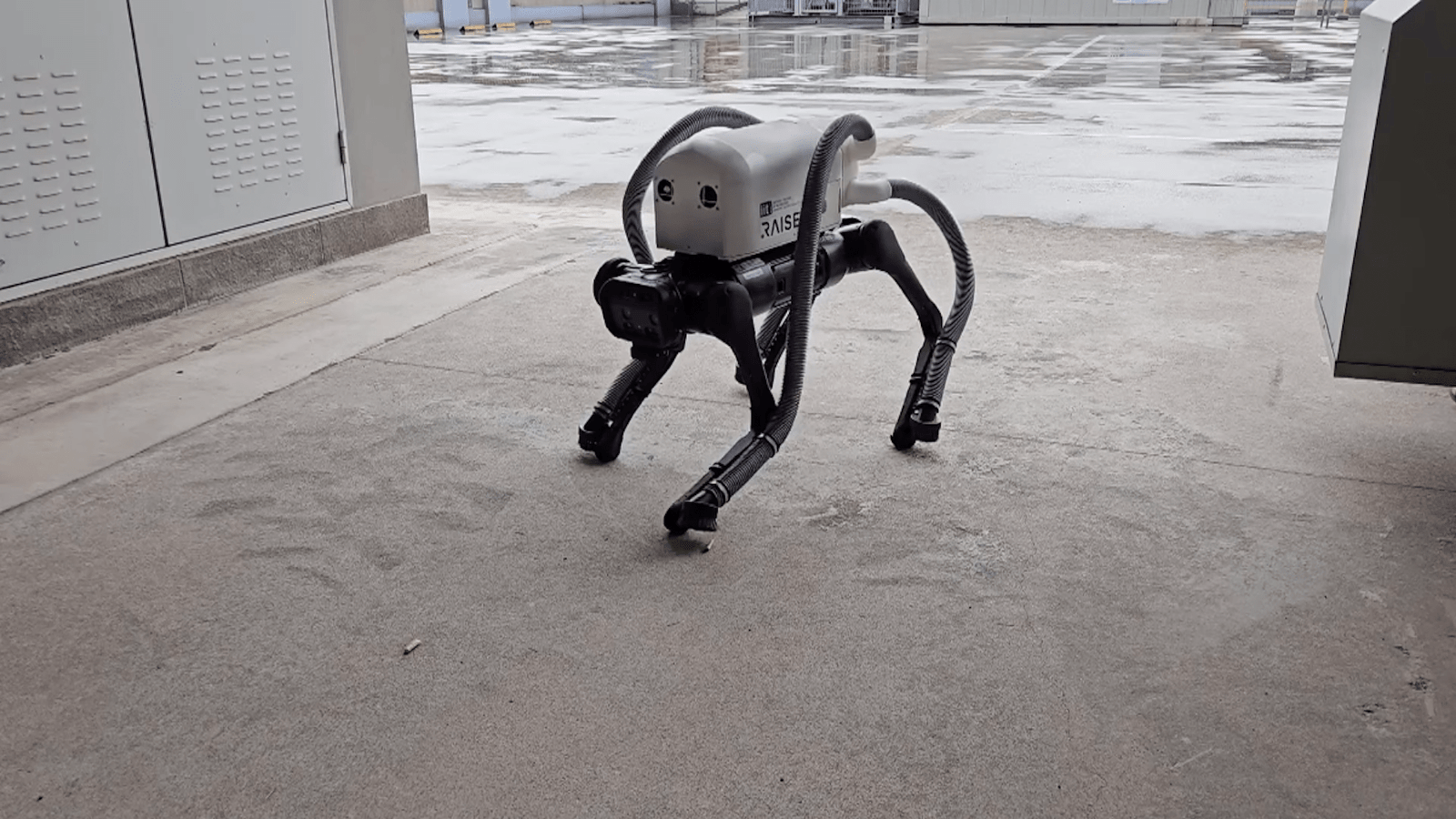 This plodding robot sucks up cigarette butts