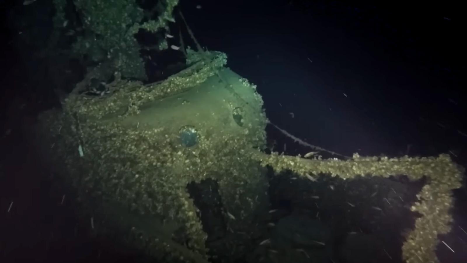 WWII submarine discovered 81 years after vanishing on a secret mission