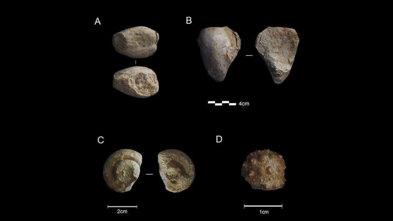 Neanderthals may have enjoyed collecting tchotchkes—just like us