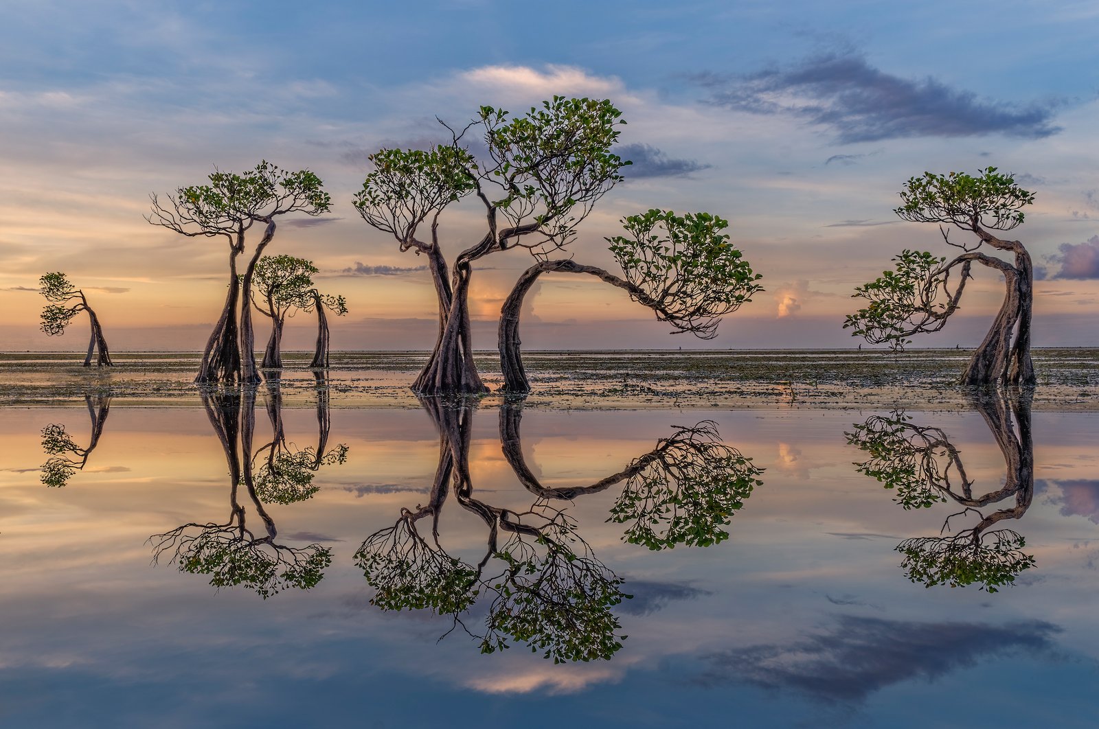 13 jaw-dropping International Landscape Photographer of the Year images