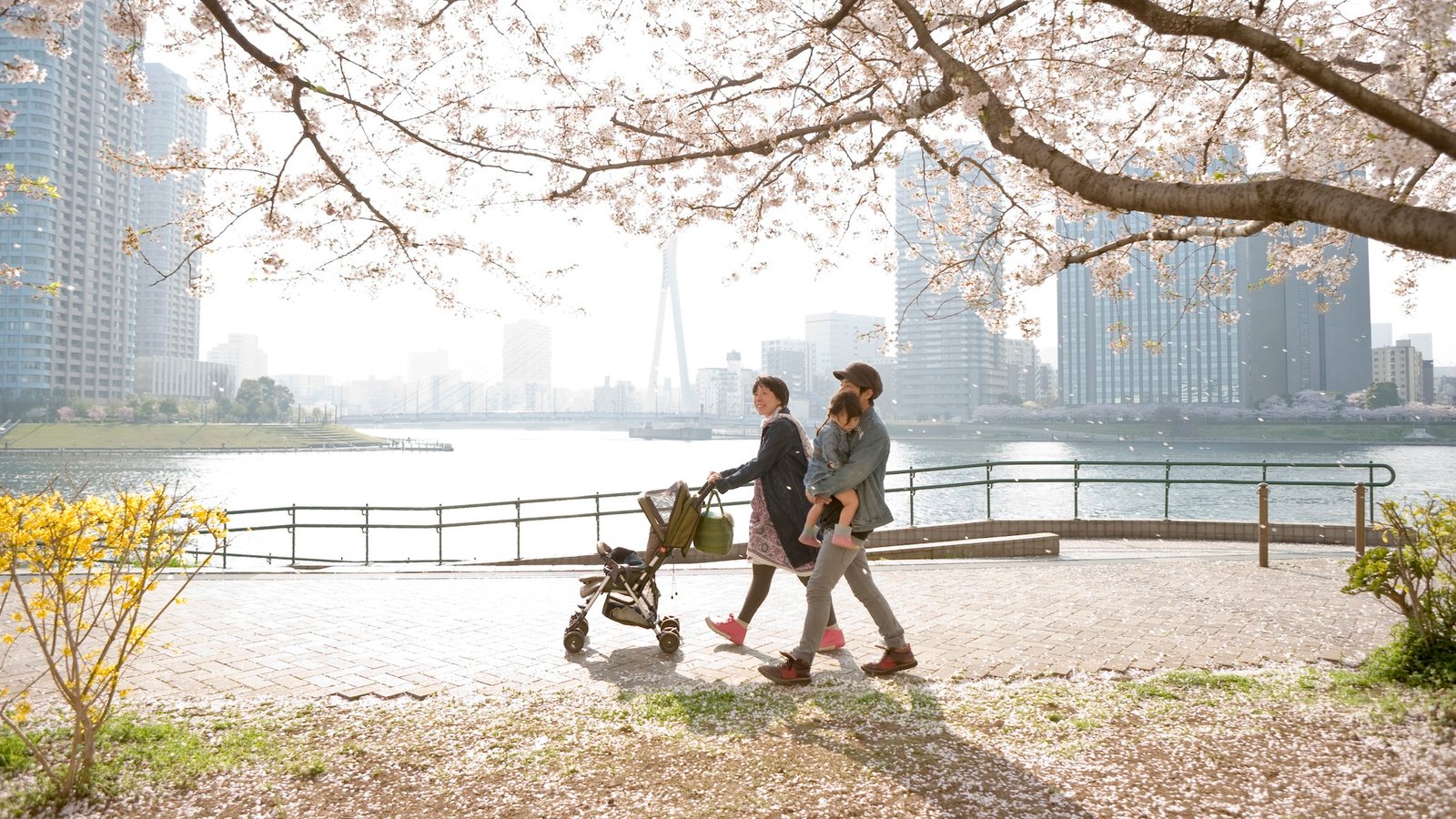 Tokyo rolling out four-day work week in bid to boost birth rates