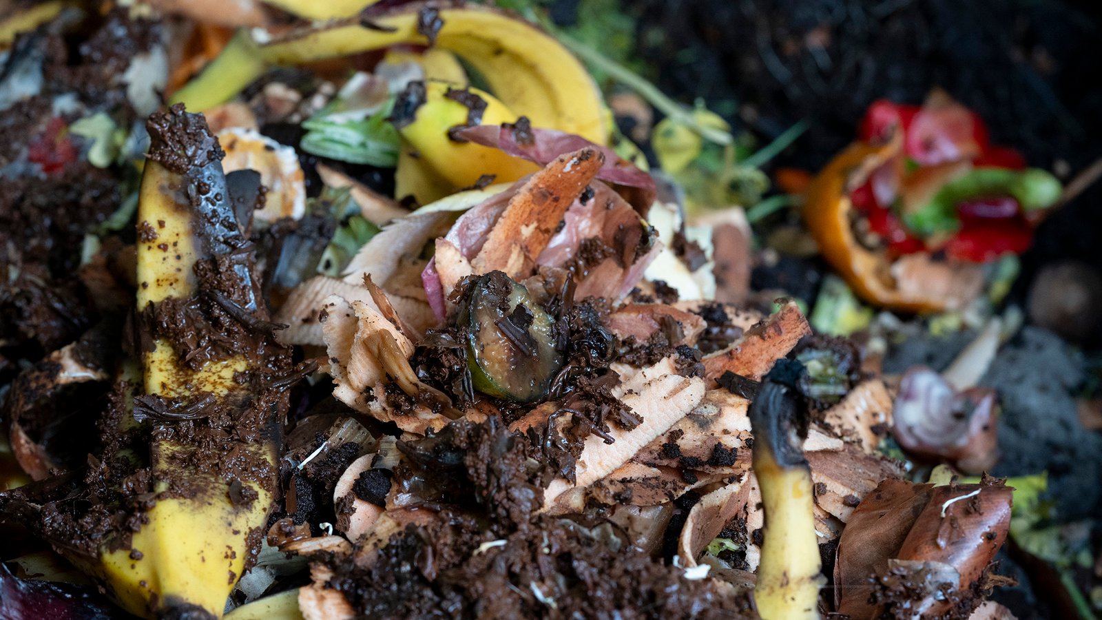 The US wants to cut food waste in half. We’re not even close.